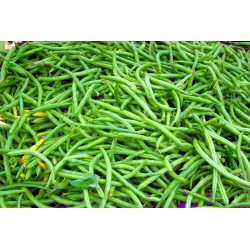 FL HARICOT VERT AU POIDS